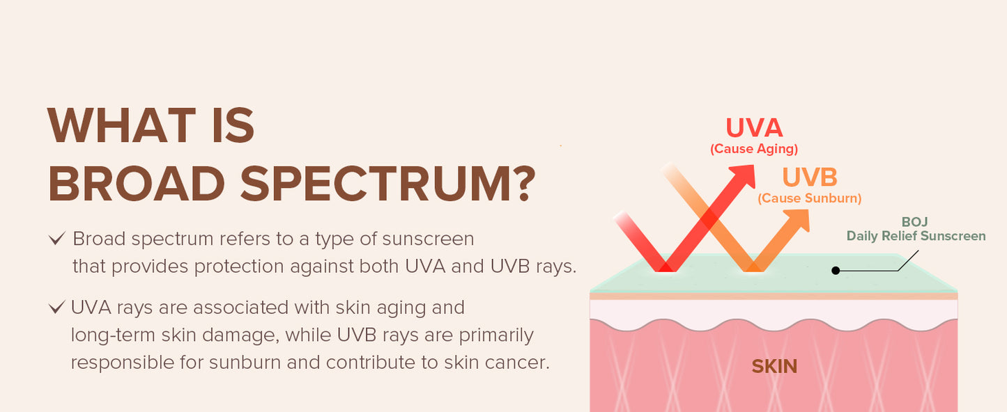 Beauty of Joseon Protetor Solar Diário para o Rosto Hidratante Solar com Amplo Espectro SPF 40 Protetor Solar Coreano Cuidados com a Pele 50ml, 1,69 fl.oz