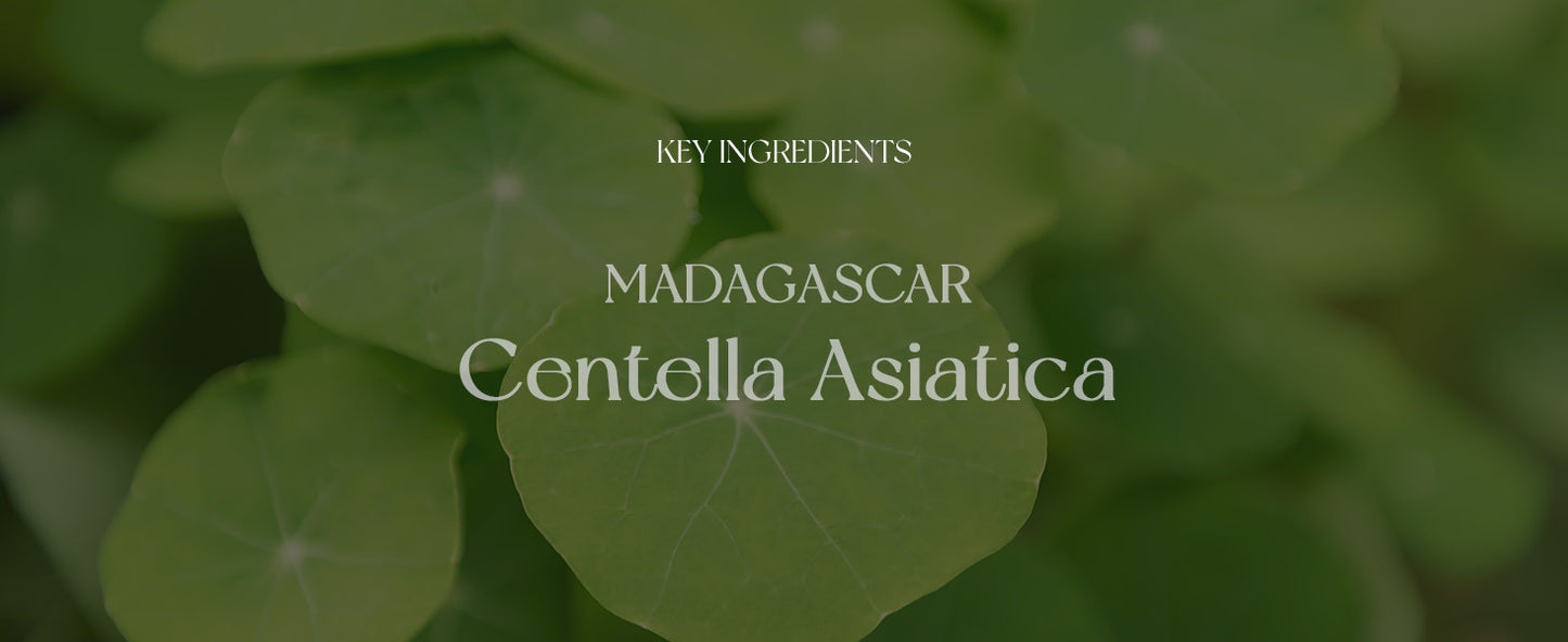 SKIN1004 Sérum Facial Ampola de Centella Asiática de Madagascar 1,85 fl.oz, 55ml, Acalma Pele com Tendência a Acne e Sensível