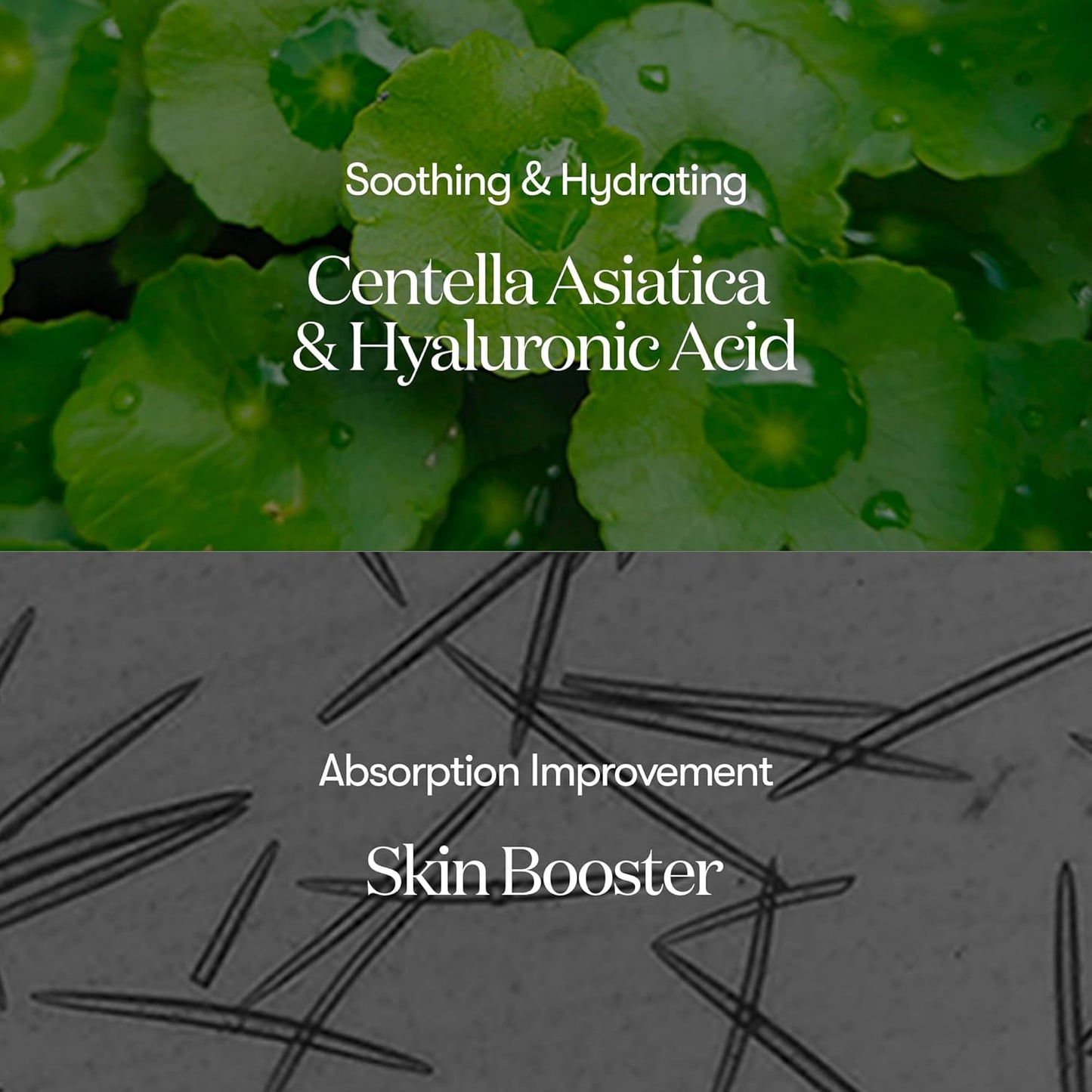 VT COSMETICS CICA Reedle Shot 100, Sérum de Microagulhamento com Espículas para Cuidado dos Poros e Esfoliação, Exossoma, Centella Asiatica para Pele Vidro, Textura da Pele, Potencializador Líquido Coreano para a Pele (1,69 Fl Oz / 50ml)