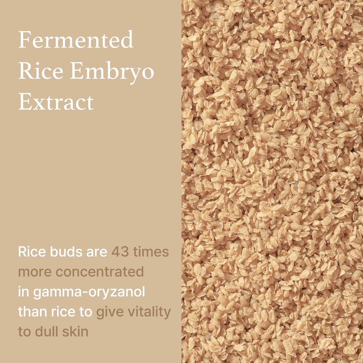 I'm from Sérum de Arroz, Extrato de Embrião de Arroz Fermentado Coreano Impulsiona Colágeno, Vitalidade, Pele Radiante e Iluminada, Niacinamida, Vitalidade para Pele Opaca, Nutritivo, Hidratante