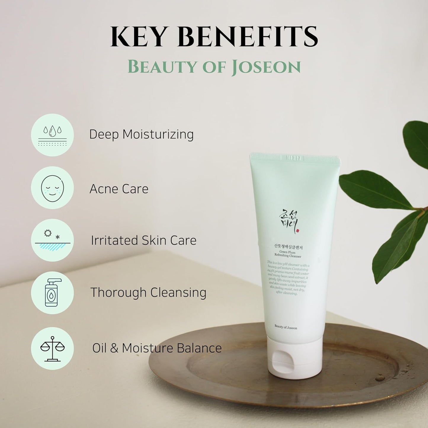 Beauty of Joseon Gel de Limpeza Refrescante Ameixa Verde Tipo Cleanser, Limpeza Profunda dos Poros, Lavagem Facial para Acne, Removedor de Cravos para Todos os Tipos de Pele, Cuidados com a Pele Coreana 100ml, 3.38 fl.oz