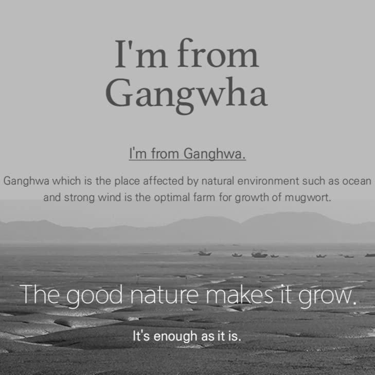  [I'm from] Máscara de Artemísia 115 ml | Erva Natural, Árvore do Chá, Enxágue, Refrescante e Calmante Rápido para Erupções, para Pele Sensível