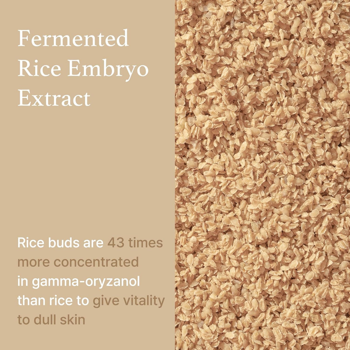 Sérum de Arroz