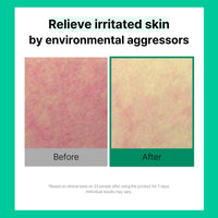 Cell Fusion C Post Alpha CICA Cooling Toner Pad, Almohadillas Tonificantes Coreanas Calmantes y Alivio del Enrojecimiento, Centella Asiática y Madecassoside, 70 Almohadillas / 6.08 fl.oz.