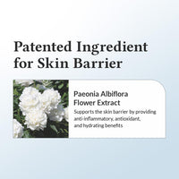Dr.Althea Crema Barrera 147 | Cuidado Diario de la Barrera Cutánea | Hidratación Profunda con Ácido Hialurónico y Ceramidas | Cuidado Vegano Coreano para Todo Tipo de Piel | 1.7 Fl Oz